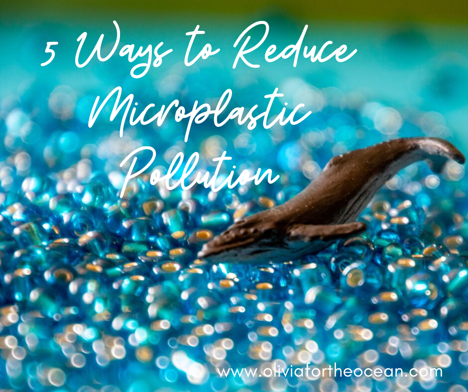 5 Ways To Reduce Microplastic Pollution – Olivia For The Ocean